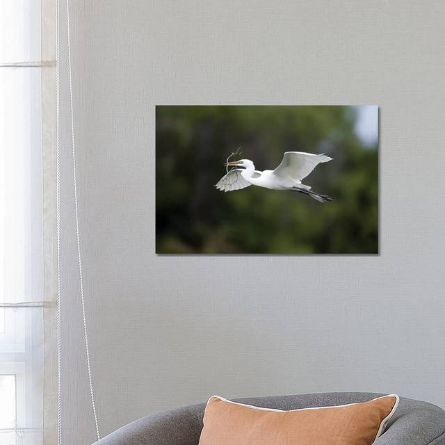 Great Egret Carrying Nesting Material, Florida by Tom Vezo - Wrapped Canvas Painting (45.72cm H x 66.04cm W x 1.91cm D)
