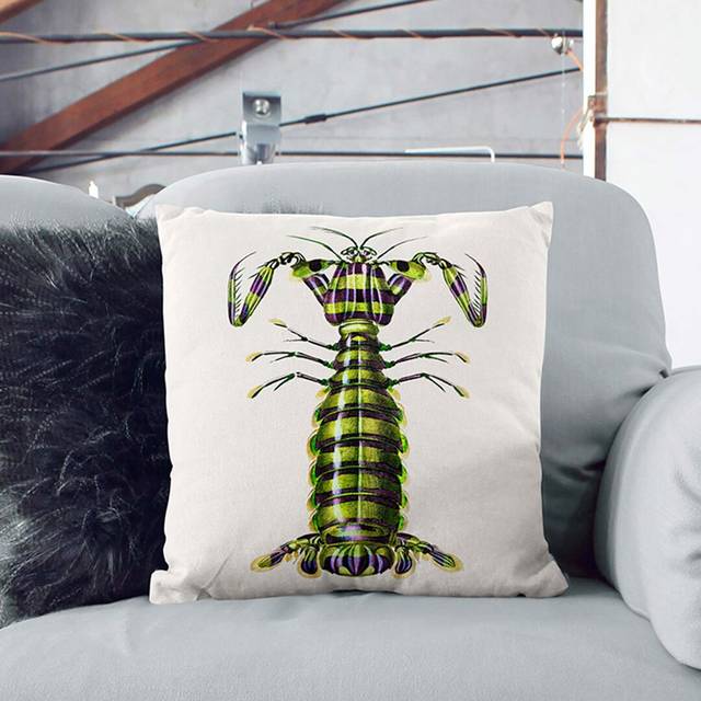 Giant Mantis Shrimp by Charles D&#39; Orbigny Cushion with Filling - Stone (55cm H x 55cm W x 20cm D)