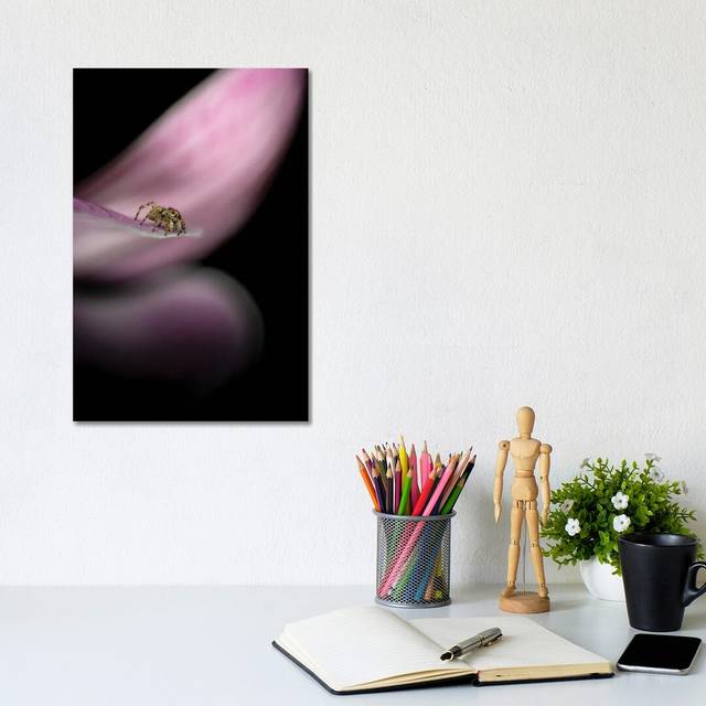 Cute Spider on a Flower Fine Art by Nik Rave - Wrapped Canvas Art Prints (30.48cm H x 20.32cm W x 1.9cm D)