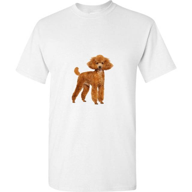 (M) Brown Poodle Dog Cute Baby Puppy Pet White Men T Shirt Tee Top