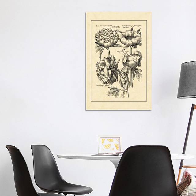 Vintage Besler II by Basilius Besler - Wrapped Canvas Graphic Art (101.6 cm H x 66.04 cm W x 1.91 cm D)