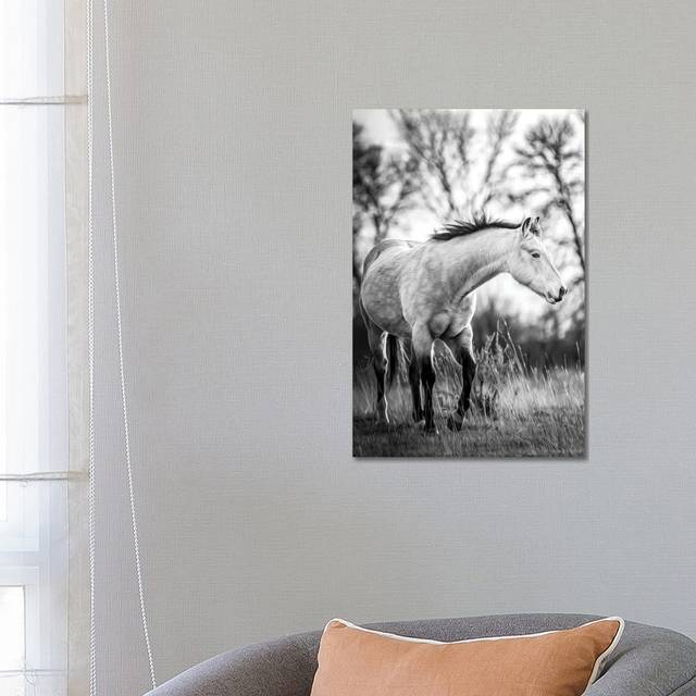 Grey Horse Portrait Black and White by Nik Rave - Wrapped Canvas Art Prints (66.04 cm H x 45.72 cm W x 3.175 cm D)
