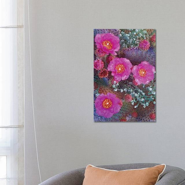 Beavertail Cactus Flowering, North America by Tim Fitzharris - Wrapped Canvas Art Prints (66.04 cm H x 45.72 cm W)
