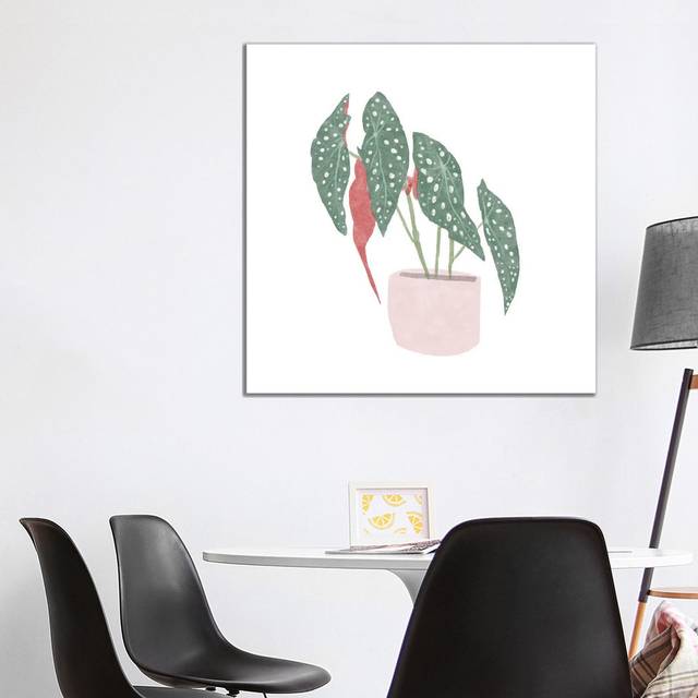 Polka Dot Begonia IV (93.98cm H x 93.98cm W x 1.91cm D)