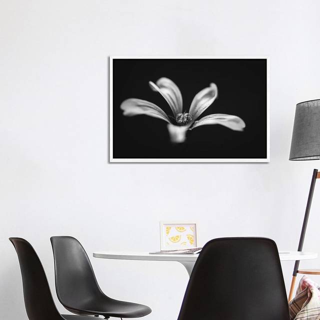 Tiny Flowers by Sarah Morrow - Gallery-Wrapped Canvas GiclÃ©e on Canvas - White Framed (66.04cm H x 101.6cm W)