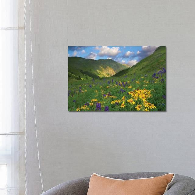 Orange Sneezeweed and Delphinium in American Basin, Colorado - Horizontal by Tim Fitzharris - Wrapped Canvas Art Prints (45.72cm H x 66.04cm W x 3.81cm D)
