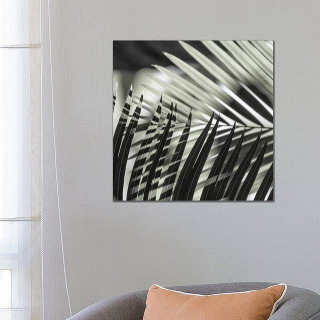 Palmleaves Shades Green Square by Monika Strigel - Wrapped Canvas Graphic Art (66.04 cm H x 66.04 cm W x 3.175 cm D)