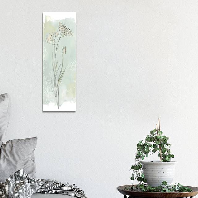 Stone Flower Study I by June Erica Vess - Wrapped Canvas Panoramic Painting (30.48 cm H x 91.44 cm W x 3.175 cm D)