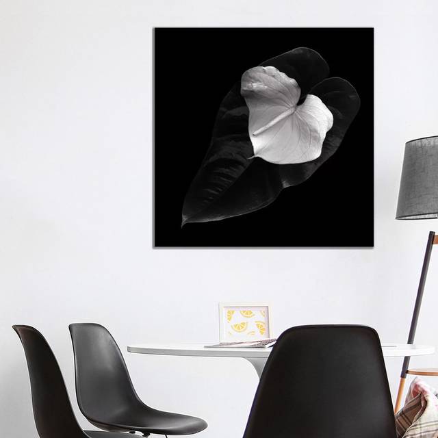 Anthurium, B&W by Magda Indigo - Wrapped Canvas Gallery-Wrapped Canvas Giclée (45.72 cm H x 45.72 cm W x 1.91 cm D)