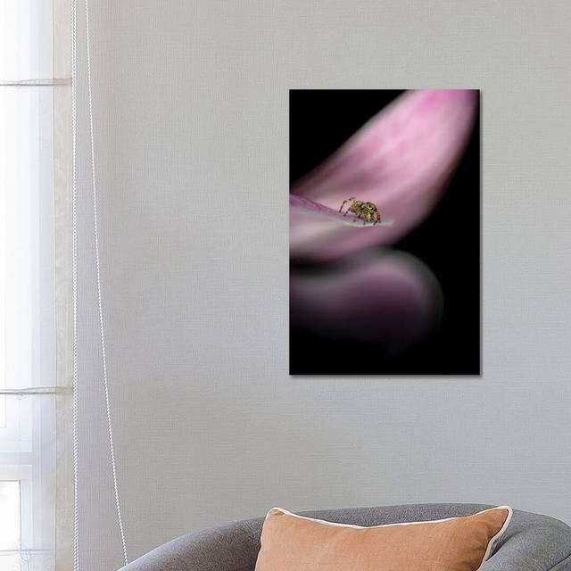 Cute Spider on a Flower Fine Art by Nik Rave - Wrapped Canvas Art Prints (66.04cm H x 45.72cm W x 3.81cm D)