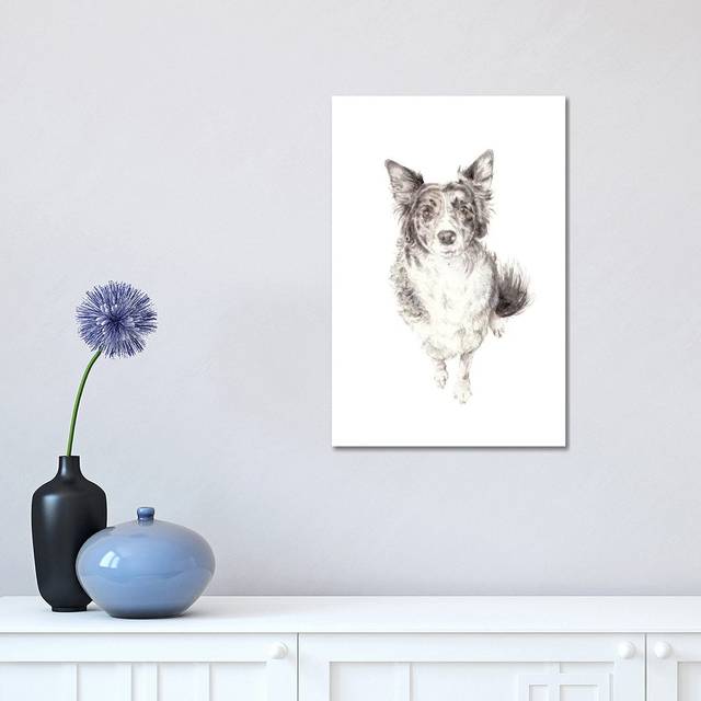 Border Collie by Wandering Laur - Wrapped Canvas Painting (30.48 cm H x 45.72 cm W)