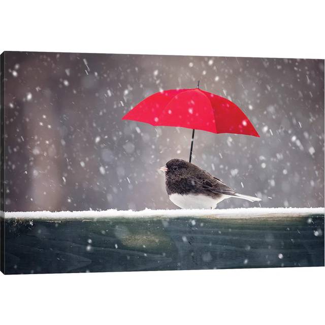 Junco and Umbrella by Karen Burke - Wrapped Canvas Art Prints (30.48cm H x 45.72cm W x 1.905cm D)