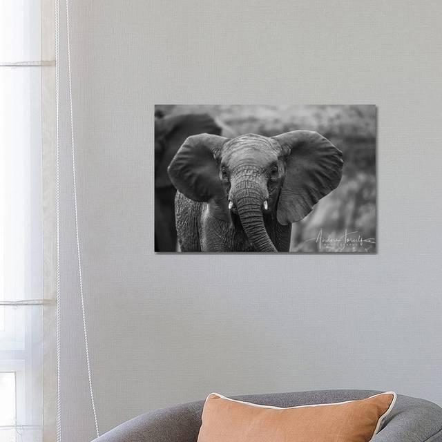 Baby Elephant by Anders Jorulf - Wrapped Canvas Photograph (45.7cm H x 66cm W x 1.9cm D)