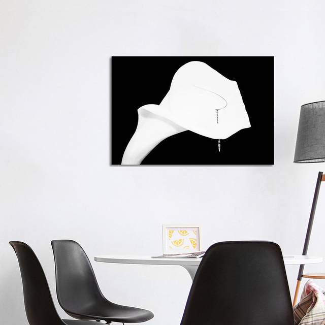 Still Life Shot Of Pierced Calla Lily Flower I by Panoramic Images - Wrapped Canvas Graphic Art (101.6 cm H x 66.04 cm W x 3.175 cm D)