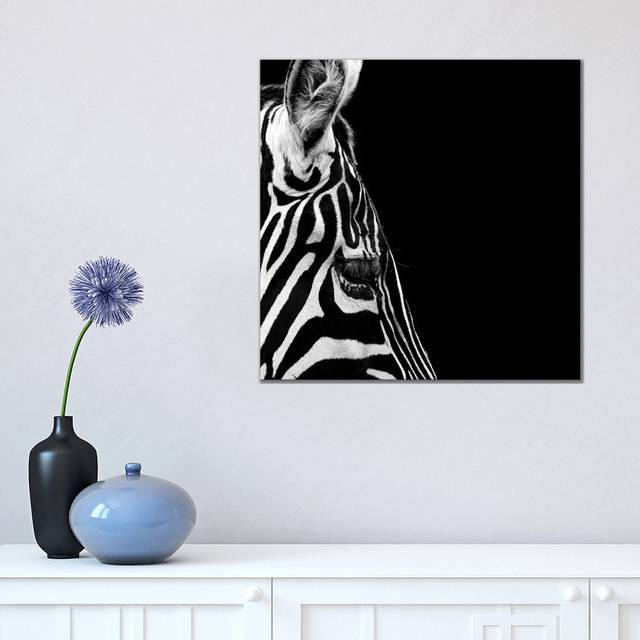 Zebra in Black and White III by Lukas Holas - Wrapped Canvas Photograph (45.72cm H x 45.72cm W x 1.905cm D)
