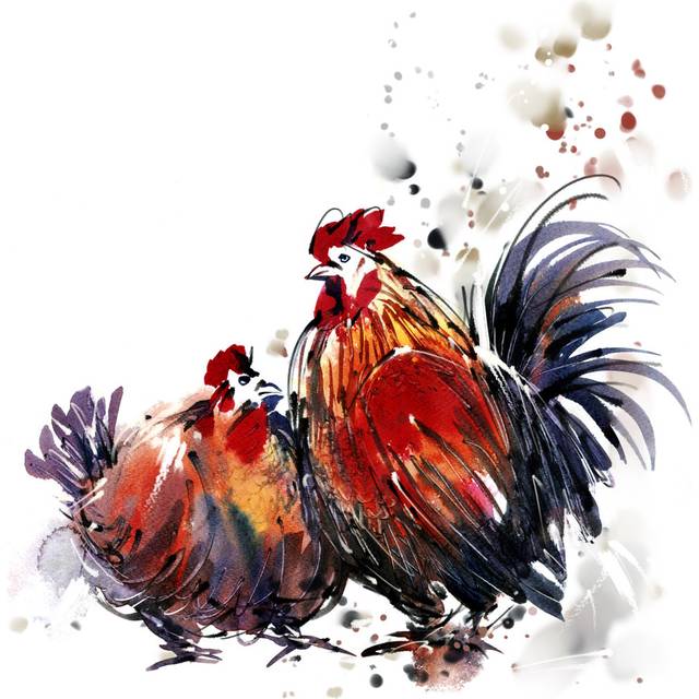 Watercolor Chicken by Last19 - Wrapped Canvas Art Prints - Black;White;Red (30cm H x 30cm W x 3.8cm D)