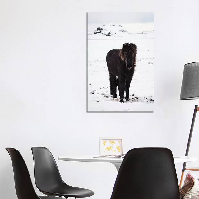 Icelandic Pony In Winter Snow by - Wrapped Canvas (101.6cm H x 66.04cm W)