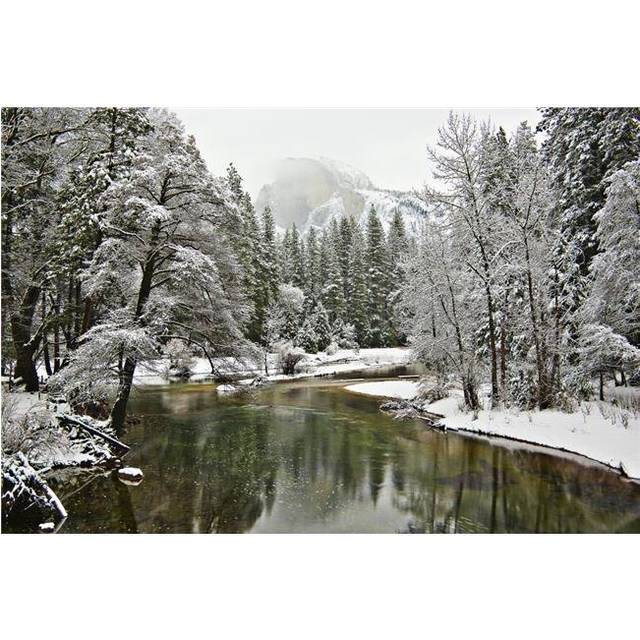 Merced River Yosemite National Park California USA Poster Print by Robert Brown, 18 x 12