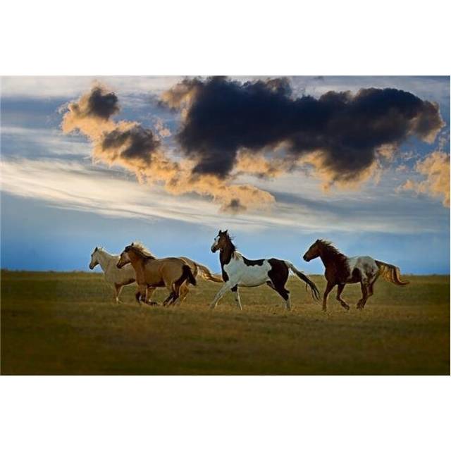 Horses Galloping Poster Print by Richard Wear, 34 x 22 - Large