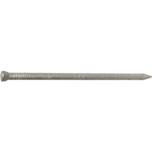 461483 3 in. 10D Galvanized Casing Nail.