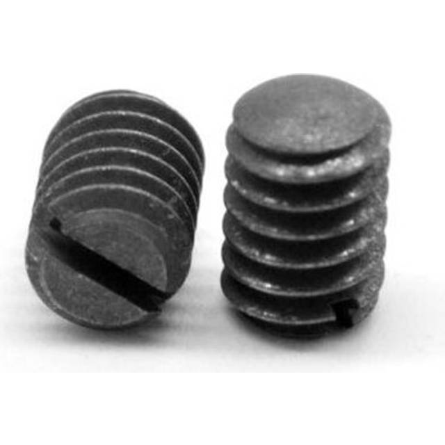 ASMC Industrial No.10-24 x 0.31 in. Coarse Thread Slotted Set Cup Point Screw, 18-8 Stainless Steel - 2500 Piece