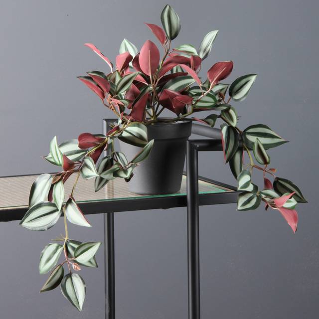 Artificial Violet Trailing Plant in Black Plant Pot - Purple