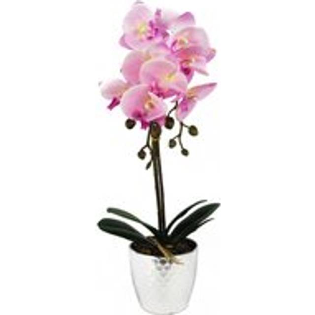 Orchid Artificial 50cm Phalaenopsis - Pink (50cm H X 20cm W X 20cm D)
