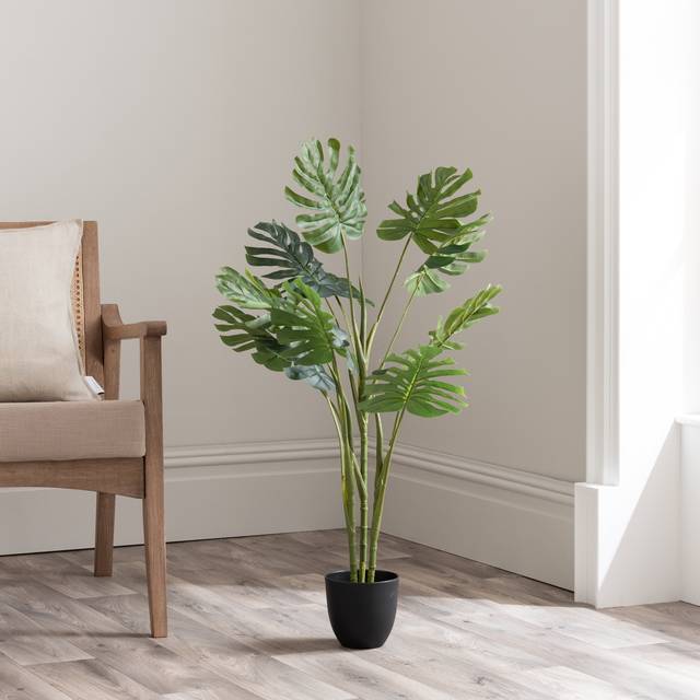Artificial Cheese Plant in Black Plant Pot - Green