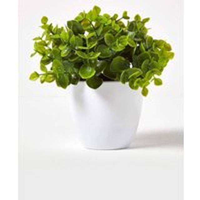 Small Artificial Eucalyptus Plant In White Plastic Pot, 16cm Tall - Green