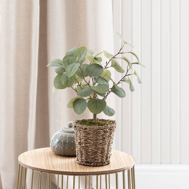 Artificial Small Eucalyptus Tree in Woven Plant Pot - Green