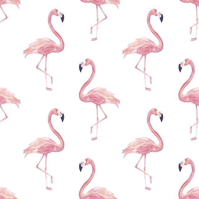 Ebba Matte Peel & Stick Mural - Black;Pink (250 x 250cm)