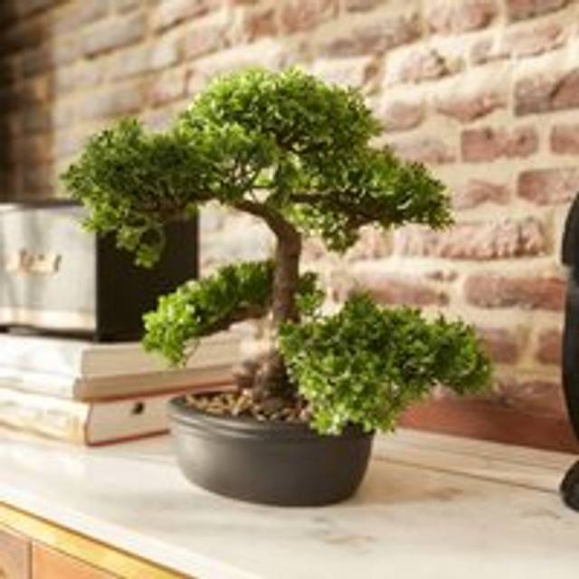 Emerald Artificial Ficus Mini Bonsai Green 32 cm 420002 - One Size