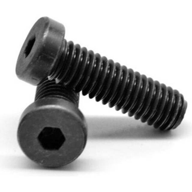 M12 x 1.75 x 25 mm - FT Coarse Thread Socket Low Head Cap Screw, 18-8 Stainless Steel - 25 Piece