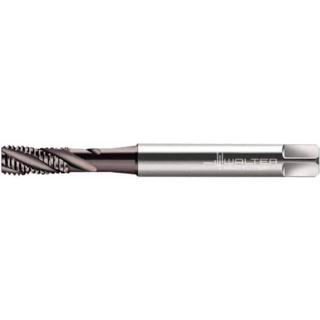 Walter HSS-E Machine Taps 2051062-M8