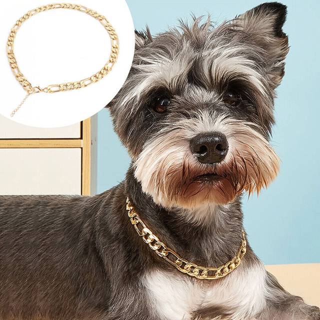 Gold Dog Chain Collar for Small Pet Cat Puppy Necklace Choker Yorkie Chihuahua