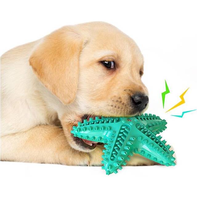 (Blue) Dog Chew Toy Toothbrushes Starfish Squeaky Molar
