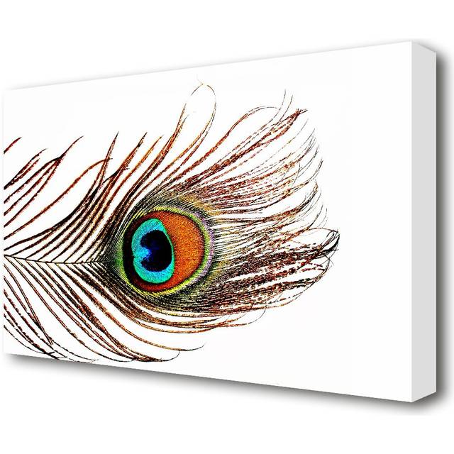 Peacock FeaTher - Graphic Art Print on Canvas (66 cm H x 101.6 cm W)
