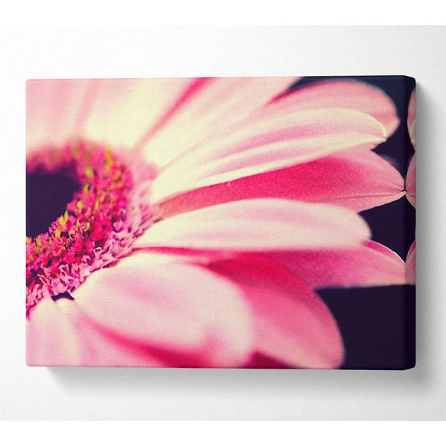 Gerbera Pink Petal Close-up - Wrapped Canvas Art Prints - Multicolour (50.8cm H x 81.3cm W x 10cm D)