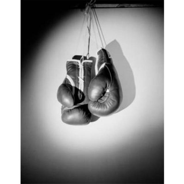 Pair of Boxing Gloves Poster Print, 18 x 24