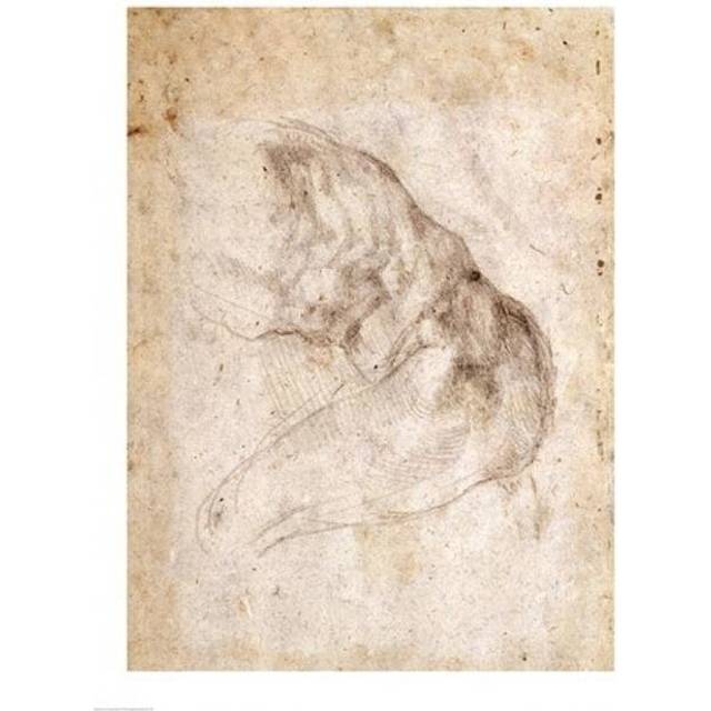 Study for The Creation of Adam Poster Print by Michelangelo Buonarroti - 24 x 36 in. - Large