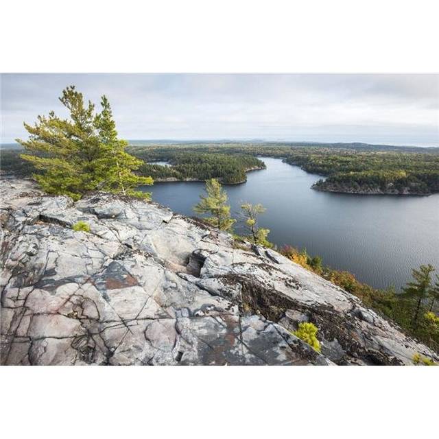 Beautiful View of A Fall Forest & George Lake From The Mountain Top - Killarney Ontario Canada Poster Print - 38 x 24 in. - Large