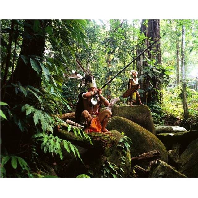 Sarawak Men Dressed in Traditional Attire with Blowpipes - Sarawak Poster Print - 34 x 26 in. - Large