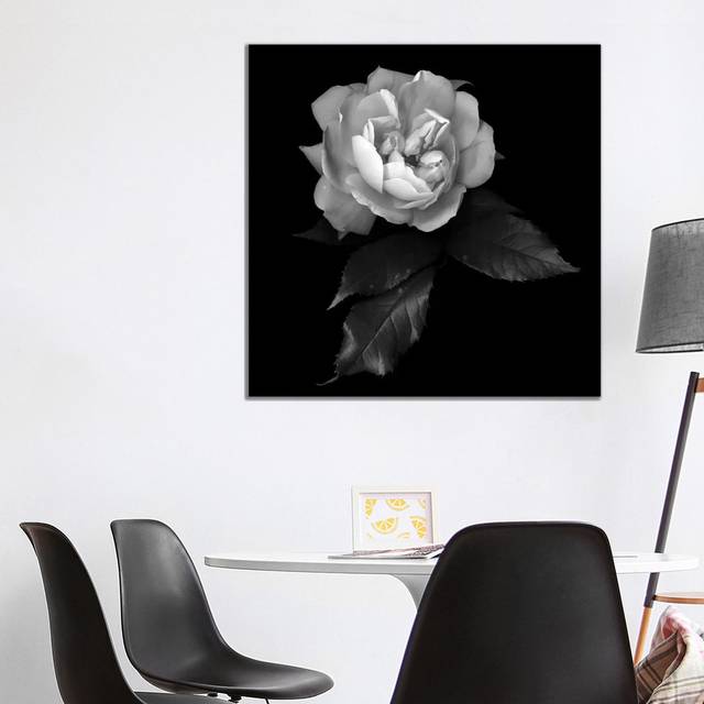White Rose VI, B&W by - Wrapped Canvas Painting (93.98 cm H x 93.98 cm W)