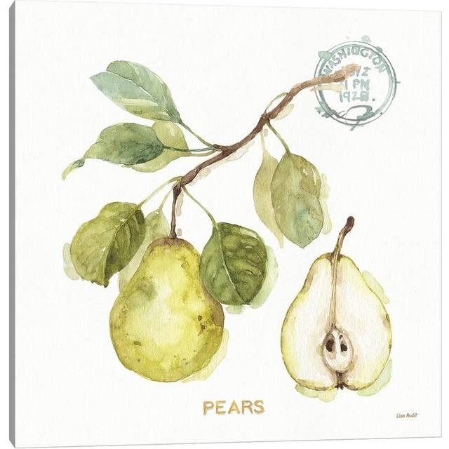 My Greenhouse Fruit I by Lisa Audit - Wrapped Canvas Graphic Art (45.72cm H x 45.72cm W x 1.91cm D)