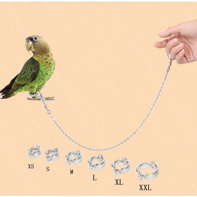 SHEIN 1set Stainless Steel Parrot Bird Harness & Leash, All Seasons