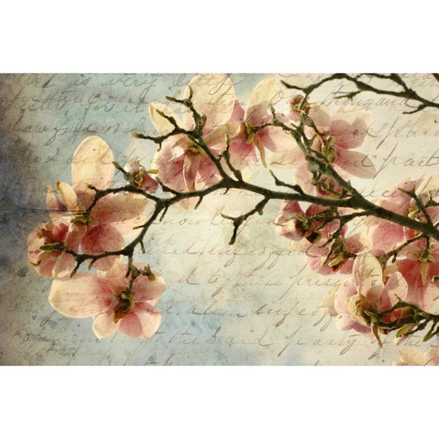 Magnolia Memories by Andipantz - Wrapped Canvas Art Prints - Pink (51cm H x 76cm W)