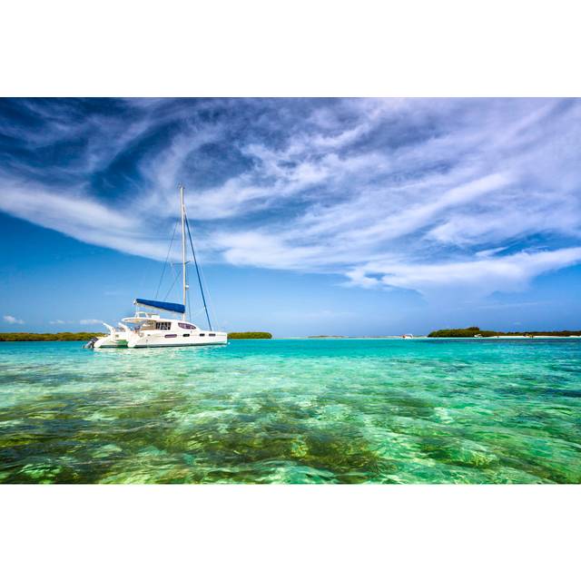 Luxury catamaran yacht - Blue;White;Green (30cm H x 46cm W)