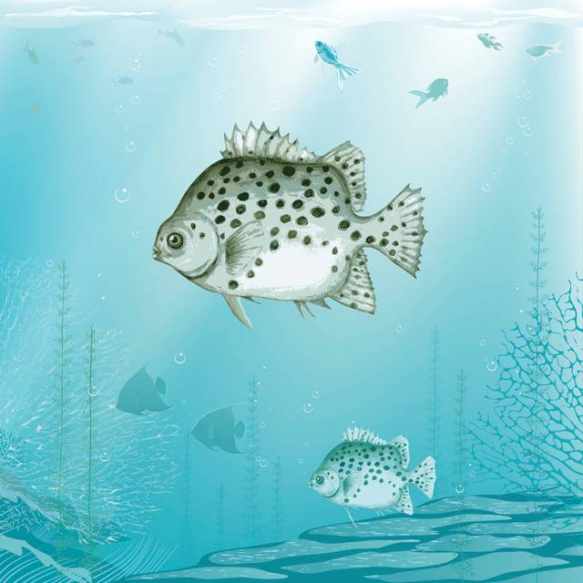 Fish by ElenaMichaylova - Wrapped Canvas Art Prints - Blue;Grey (76cm H x 76cm W x 3.8cm D)