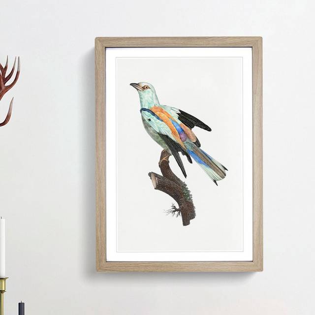 Abyssinian Roller Bird by Jacques Barraband - Picture Frame Painting Print on Paper - Oak Framed (63cm H x 45cm W x 2cm D)