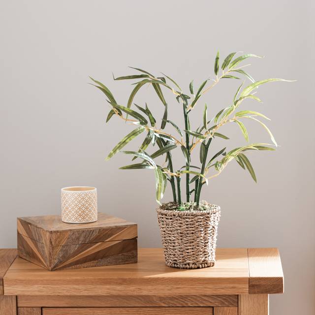 Artificial Small Bamboo in Woven Plant Pot - Green